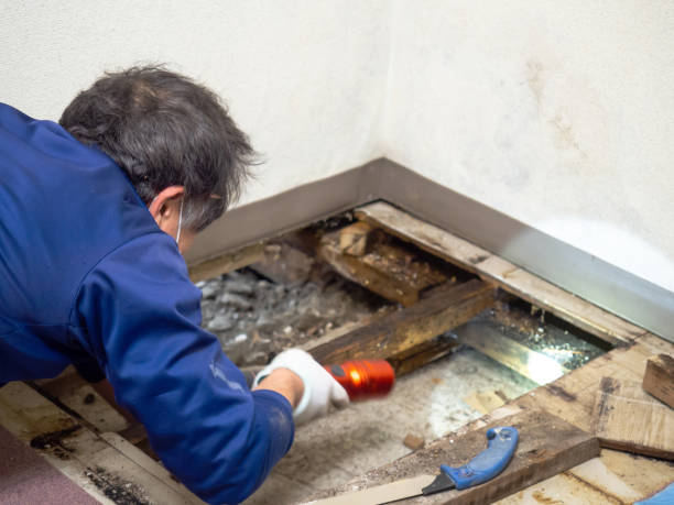Water Damage Restoration in Rome, GA