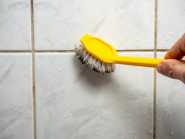 Best Emergency Mold Removal  in Rome, GA