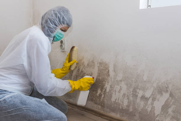 Crawl Space Mold Removal in Rome, GA