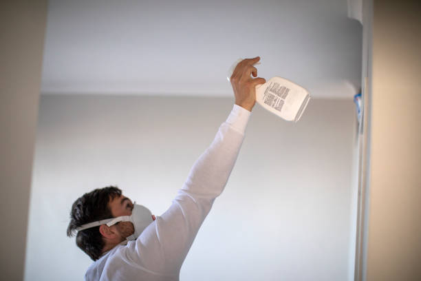 Best Residential Mold Removal  in Rome, GA