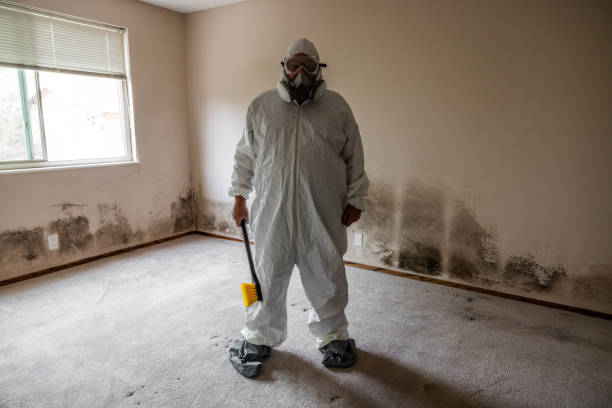 Professional Mold Removal in Rome, GA